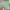 https://res.cloudinary.com/billionhands/image/upload/v1774885520/items/wf9wrkpndnpn60moaoir.jpg-0cover