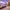 https://res.cloudinary.com/billionhands/image/upload/v1774886645/items/g5c15mupk8b1vbz0tegv.jpg-1cover