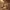 https://res.cloudinary.com/billionhands/image/upload/v1774886649/items/izo0qiy7m9bgxgrw1jea.jpg-2cover