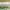 https://res.cloudinary.com/billionhands/image/upload/v1774886668/items/xprbn3dbh9t2vwbbijtq.webp-3cover