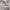 https://res.cloudinary.com/billionhands/image/upload/v1774887119/items/kwq6hvrmj0vmduoip7xa.avif-3cover