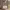 https://res.cloudinary.com/billionhands/image/upload/v1774887119/items/nbcju8ikehlajfzezgdq.webp-2cover