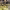 https://res.cloudinary.com/billionhands/image/upload/v1774887146/items/crjnpoukt7icn3tr2wmg.jpg-0cover