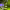 https://res.cloudinary.com/billionhands/image/upload/v1774887300/items/nxrnyksin8dwvd2feehz.jpg-3cover