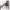 https://res.cloudinary.com/billionhands/image/upload/v1774887362/items/vlw8znf4xmrv45mefgod.webp-0cover