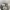 https://res.cloudinary.com/billionhands/image/upload/v1774887418/items/fdm08bqyzcvnwa3p07dj.webp-3cover