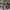 https://res.cloudinary.com/billionhands/image/upload/v1774887551/items/o3lzd0uowdmemtb8iti1.jpg-2cover