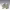 https://res.cloudinary.com/billionhands/image/upload/v1774887655/items/dup7yxrfu6k8rjmso3uq.webp-3cover