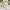 https://res.cloudinary.com/billionhands/image/upload/v1774887919/items/nviegopiqrxkb7cwlb7n.jpg-0cover
