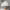 https://res.cloudinary.com/billionhands/image/upload/v1774887923/items/e80bcswotznsdoa3byhe.webp-3cover