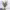 https://res.cloudinary.com/billionhands/image/upload/v1774887925/items/xzo8w2ifk9qdqdxexxay.jpg-2cover