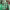 https://res.cloudinary.com/billionhands/image/upload/v1774887940/items/sptyfhh26kvj2cvvv5eo.jpg-0cover