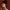 https://res.cloudinary.com/billionhands/image/upload/v1774888182/items/k3lve8clyvgjjrzti5nh.webp-1cover