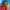 https://res.cloudinary.com/billionhands/image/upload/v1774888192/items/lxyf5dlcuxh9pavqhlrt.jpg-3cover