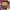 https://res.cloudinary.com/billionhands/image/upload/v1774888200/items/sq6dvvulpmanhrcfwmb2.jpg-1cover