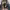 https://res.cloudinary.com/billionhands/image/upload/v1774888395/items/tkeqmzsxmtn6pdsbtho5.webp-0cover