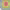 https://res.cloudinary.com/billionhands/image/upload/v1774888398/items/jrvqt7dlji0g5taomsp6.jpg-2cover