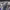 https://res.cloudinary.com/billionhands/image/upload/v1774888431/items/wpcjmpkueotxshz2e3wy.jpg-1cover