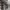 https://res.cloudinary.com/billionhands/image/upload/v1774888496/items/wv1nhqvynzntu0dmkh6y.jpg-2cover