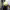 https://res.cloudinary.com/billionhands/image/upload/v1774888921/items/qelsvr6t4gl063utj41b.png-1cover