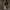 https://res.cloudinary.com/billionhands/image/upload/v1774889633/items/dltn89lpfatlqemegiw1.jpg-2cover