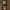 https://res.cloudinary.com/billionhands/image/upload/v1774889655/items/sov5wa2ss4zslqzqyzcc.jpg-2cover