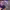 https://res.cloudinary.com/billionhands/image/upload/v1774889764/items/zwfvmqefeztewo3qsvt7.jpg-2cover