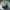 https://res.cloudinary.com/billionhands/image/upload/v1774889897/items/szgmmafexxi4ygy7hlmf.jpg-2cover