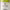 https://res.cloudinary.com/billionhands/image/upload/v1774889975/items/wbggrjdk2mlgibrgjk5o.jpg-3cover