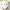 https://res.cloudinary.com/billionhands/image/upload/v1774889978/items/fpn6c6cpru8kbzzarque.png-2cover