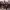 https://res.cloudinary.com/billionhands/image/upload/v1774890013/items/qhbkjxn65fk4b89vah92.jpg-1cover