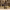 https://res.cloudinary.com/billionhands/image/upload/v1774890015/items/snodp1nbqdigi0lzae10.jpg-3cover