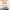 https://res.cloudinary.com/billionhands/image/upload/v1774890016/items/erzd85yacgmsm5kdl9h2.jpg-3cover