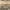 https://res.cloudinary.com/billionhands/image/upload/v1774890038/items/pcjuxd9gczdktlysrnms.jpg-2cover