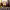 Best online resources to learn Ottoman history cover