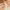 https://res.cloudinary.com/billionhands/image/upload/v1774890061/items/lejp0drw32tecctic15c.webp-0cover