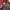 https://res.cloudinary.com/billionhands/image/upload/v1774890204/items/tpbmcb6bemx7hlpqjqce.webp-0cover