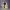 https://res.cloudinary.com/billionhands/image/upload/v1774890518/items/elna7cte82oukuigkqvz.jpg-1cover