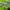 https://res.cloudinary.com/billionhands/image/upload/v1774890545/items/n2vsenabrv5ugmzvq6ra.jpg-1cover