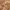https://res.cloudinary.com/billionhands/image/upload/v1774890643/items/xk4eklwwggmv4i0a5mwg.jpg-0cover