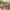 https://res.cloudinary.com/billionhands/image/upload/v1774890710/items/glf4xwitsgvk9gfnnrzh.jpg-1cover