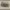 https://res.cloudinary.com/billionhands/image/upload/v1774890714/items/oyqpris7obtlistfqeck.jpg-0cover