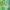 https://res.cloudinary.com/billionhands/image/upload/v1774890749/items/gih0rxg22jqfivesjwms.png-1cover