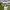 https://res.cloudinary.com/billionhands/image/upload/v1774890751/items/v9dmm8m1nx1vkr7zppyu.jpg-2cover