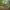 https://res.cloudinary.com/billionhands/image/upload/v1774890754/items/tsrjmha7om6nixs2sbse.jpg-1cover