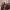 https://res.cloudinary.com/billionhands/image/upload/v1774890814/items/nti1fiwiittsglvpbnrm.jpg-0cover