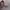 https://res.cloudinary.com/billionhands/image/upload/v1774891067/items/yng3clgjvkd5dlyg1359.jpg-2cover