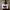 https://res.cloudinary.com/billionhands/image/upload/v1774891189/items/jpckfft7jffubdgvgqru.jpg-0cover