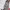 Best knit dresses for women online cover