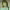 https://res.cloudinary.com/billionhands/image/upload/v1774891524/items/keszwwlml2u2r75gbb93.jpg-3cover